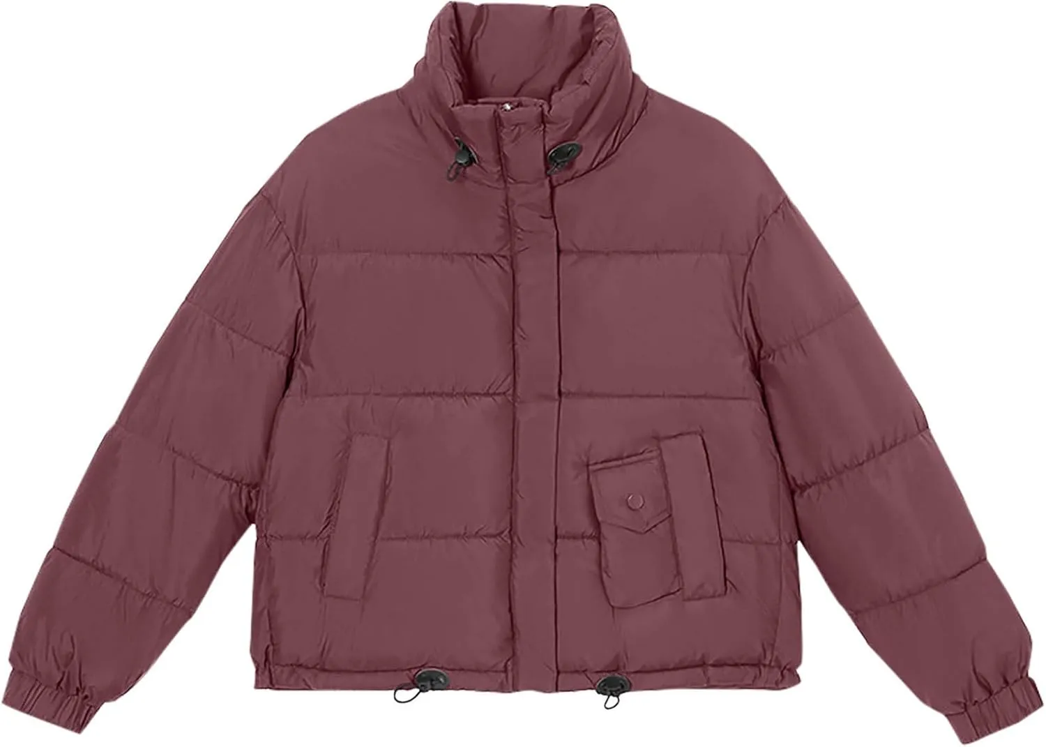 Winter Cropped Puffer Coat Women Stand Collar Slim Fit Thermal Short Overcoat 2024 Fashion Solid Color Warm Down Coat