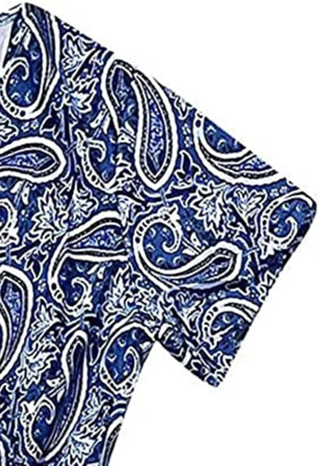 Women's 2025 Summer Boho Dresses Floral Short Sleeve Maxi Dress Sexy V Neck Swing Dress Slit Long Dresses Sundresses